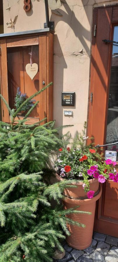 Penzion-Apartman U Johana Moravská Třebová Exterior foto